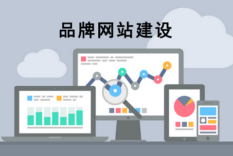 来宾专业网站运营公司